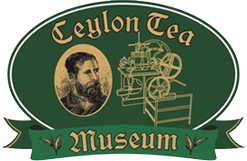 Ceylon Tea Museum